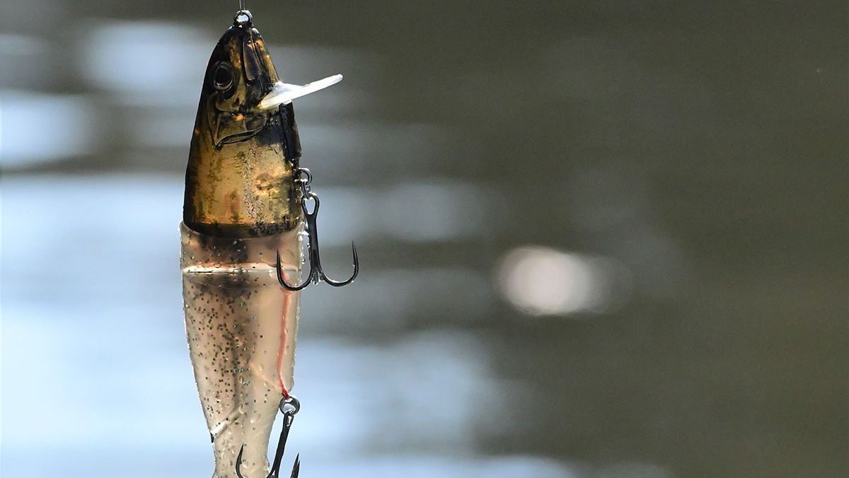 12月の亀山湖で目撃した小林明人さんのビッグベイティング 後編 | Basser